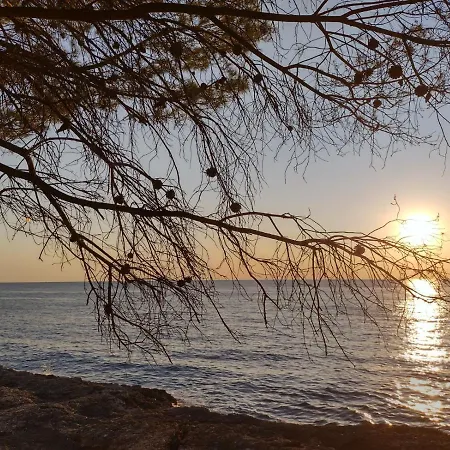 Kadinela, 200m From Kamenjak, Huge Quiet Garden With Barbecue, 2 New Kitchens Premantura