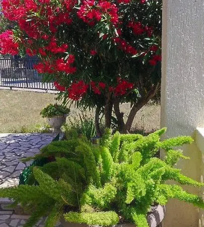 Kadinela, 200m From Kamenjak, Huge Quiet Garden With Barbecue, 2 New Kitchens * Premantura