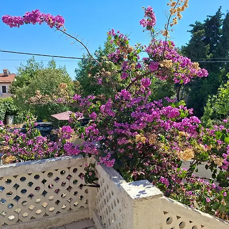 Kadinela, 200m From Kamenjak, Huge Quiet Garden With Barbecue, 2 New Kitchens * Premantura